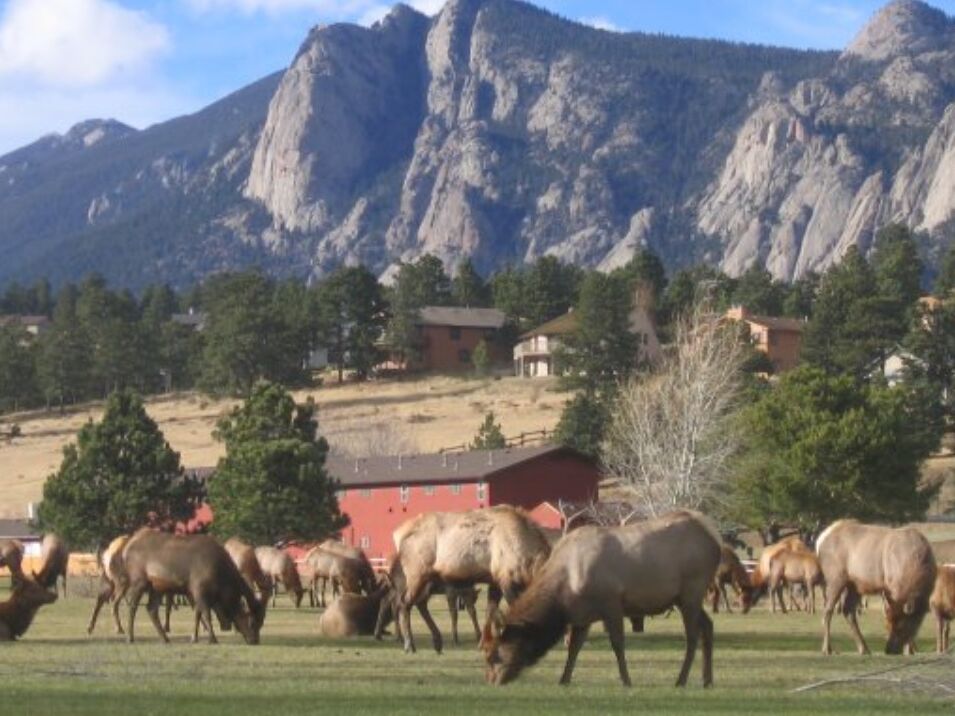 Picture of Visit Estes Park