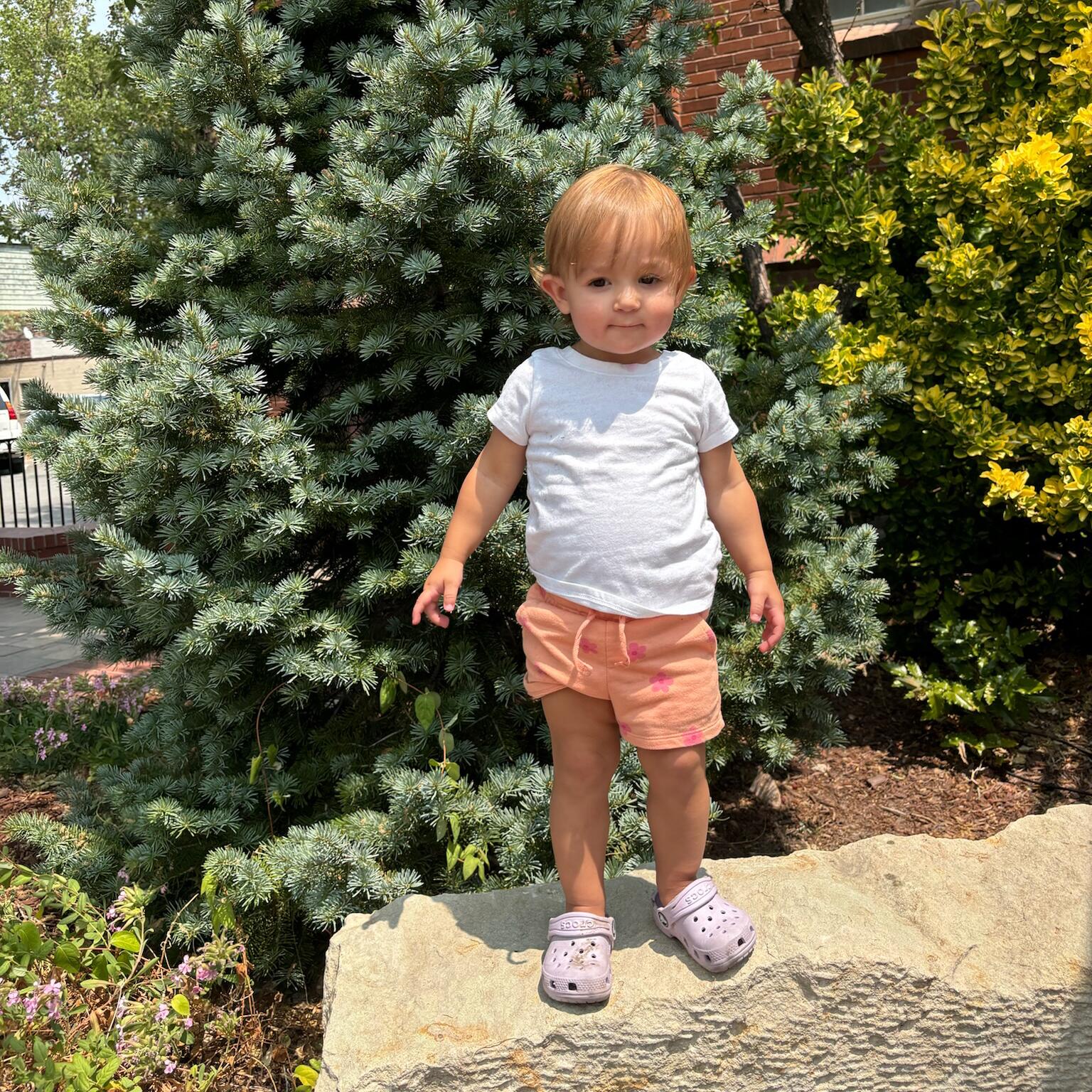 Ella Lingenfelter