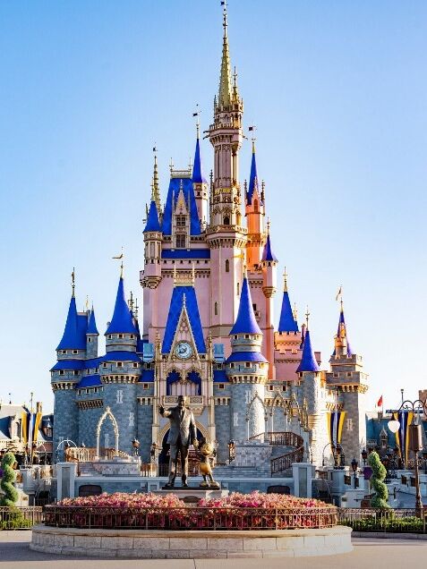 Picture of Walt Disney World® Resort