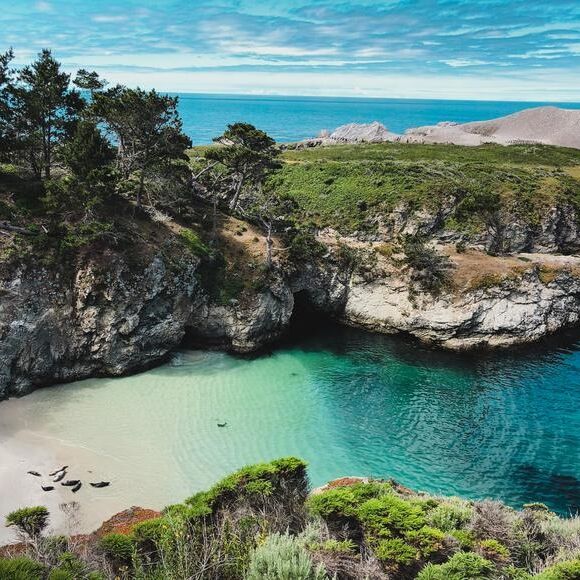 Picture of Point Lobos State Natural Reserve