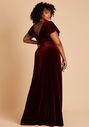 Birdy Grey Hannah Dress in Velvet Cabernet V-Neck Bridesmaid Dress - thumbnail - 4