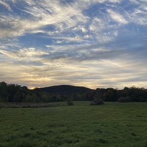 Gallery Photo 23