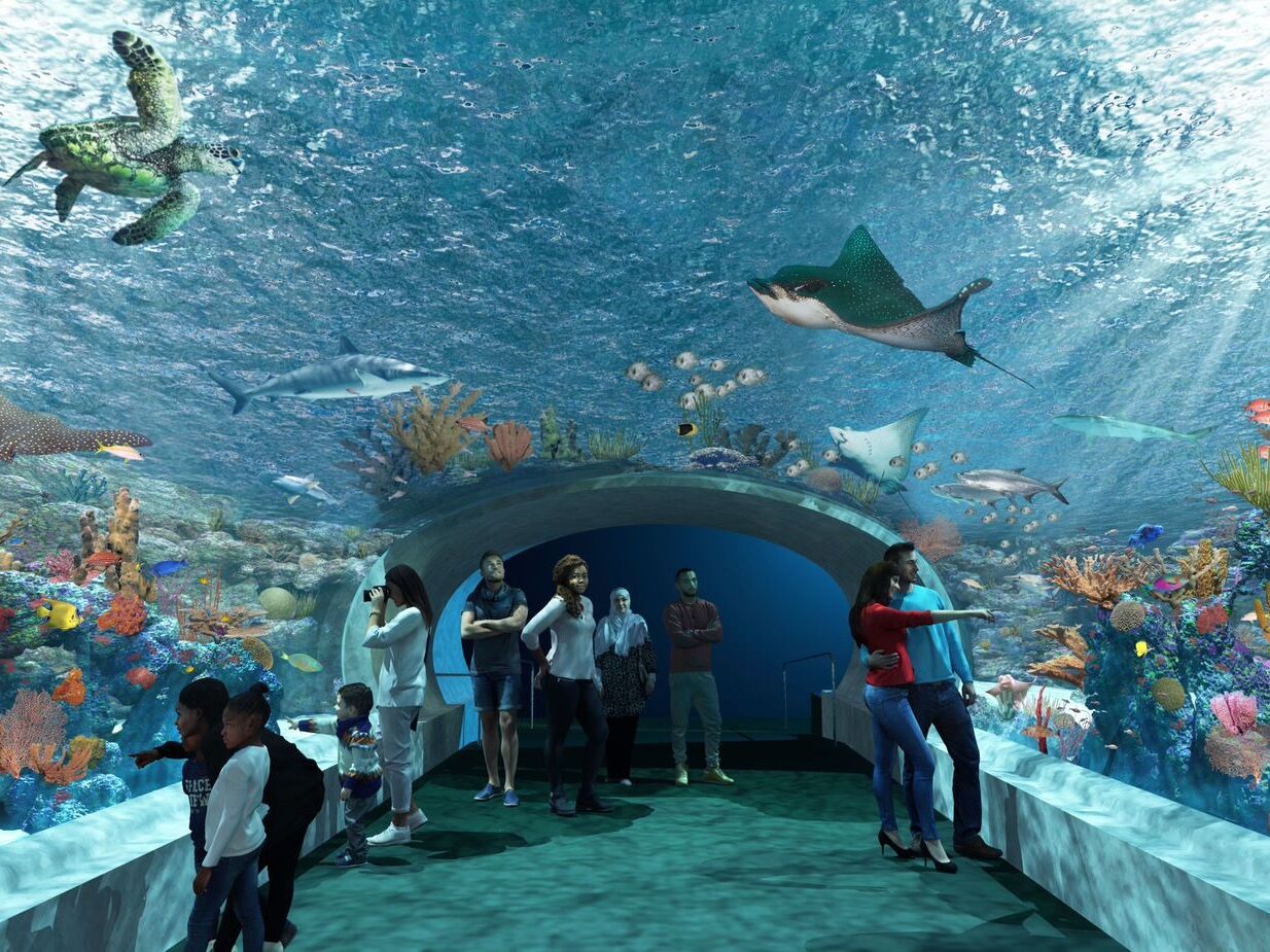 Picture of Shedd Aquarium