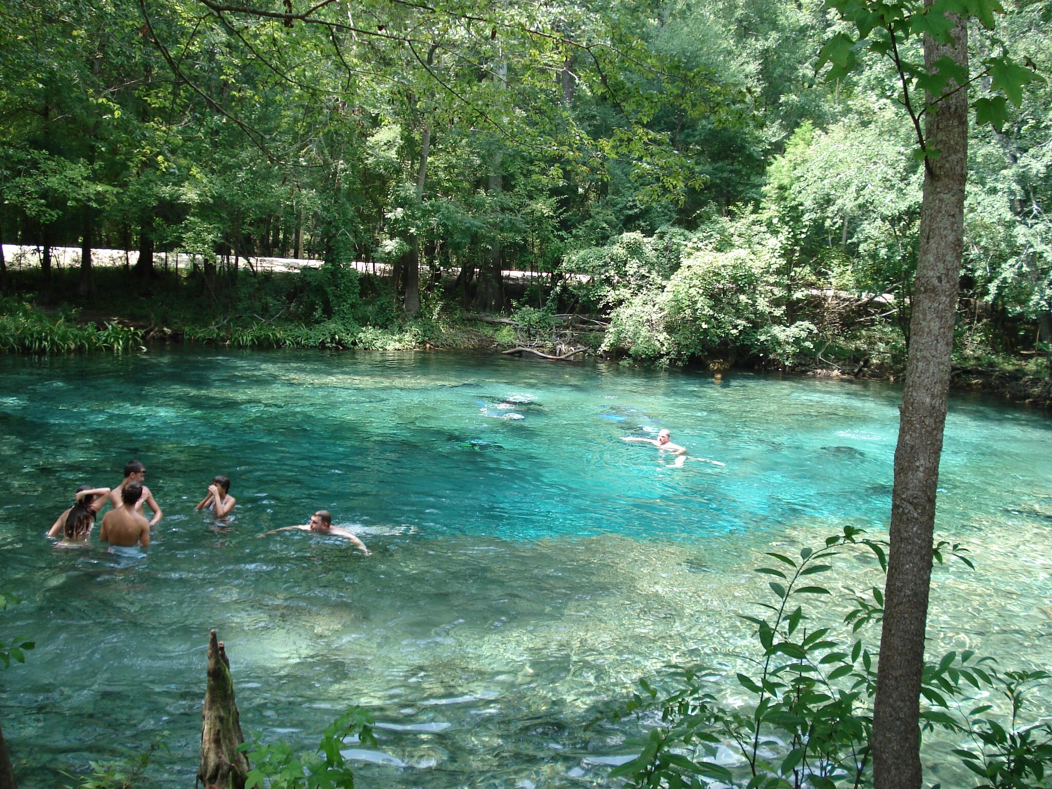 Picture of Ginnie Springs Nature Reserve