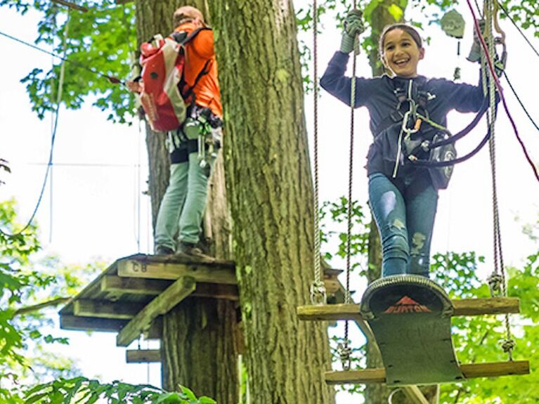 Picture of Aerial Adventure Park