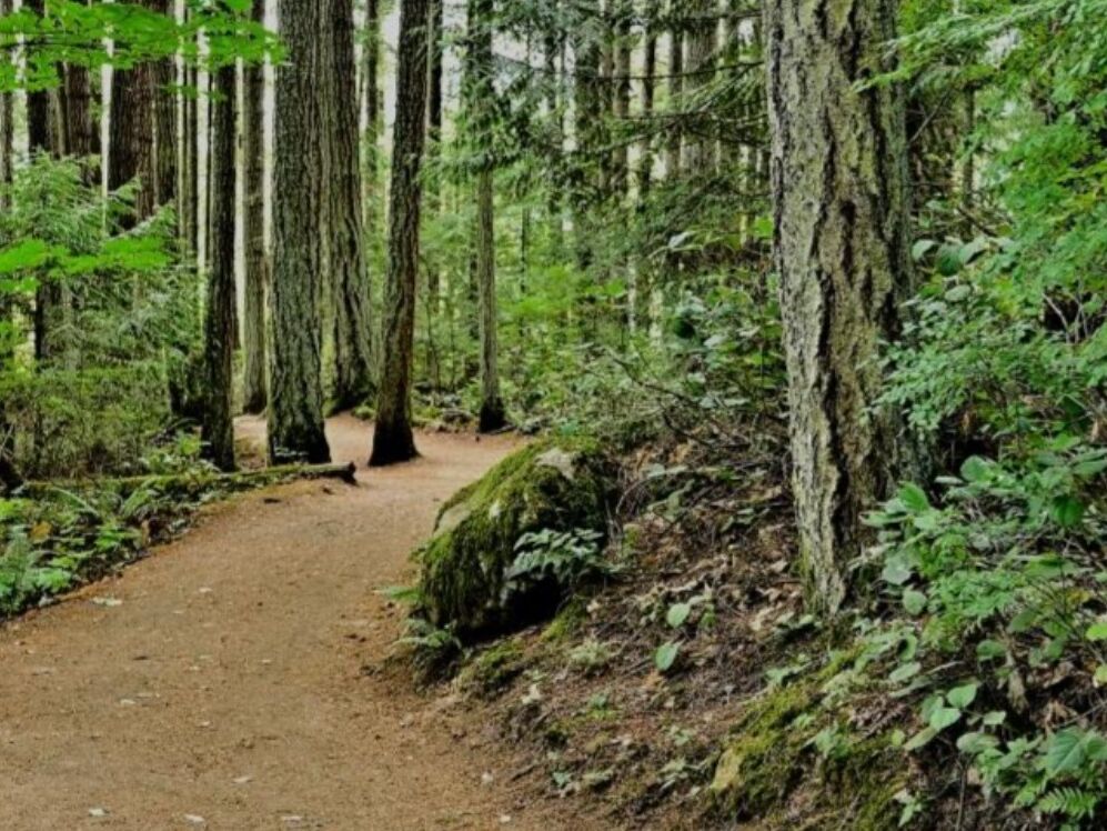 Picture of Big Pocono State Park