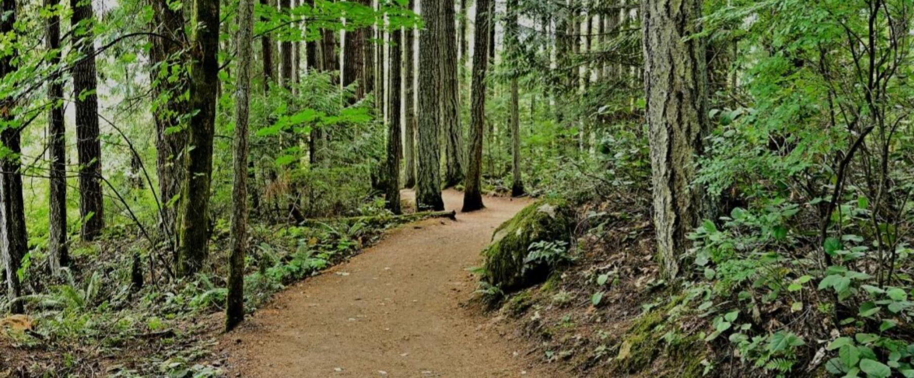 Picture of Big Pocono State Park