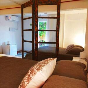 Gallery Photo 11