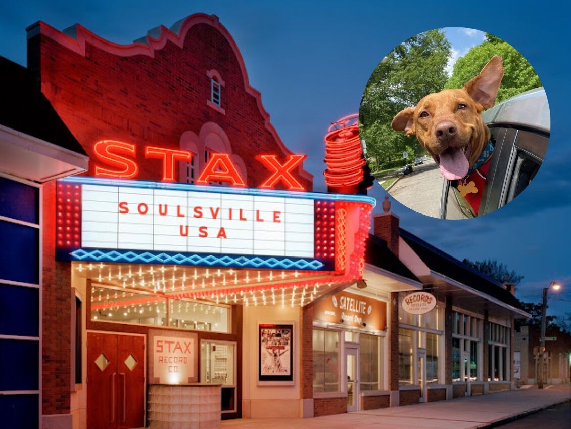 Picture of Stax Museum of American Soul Music