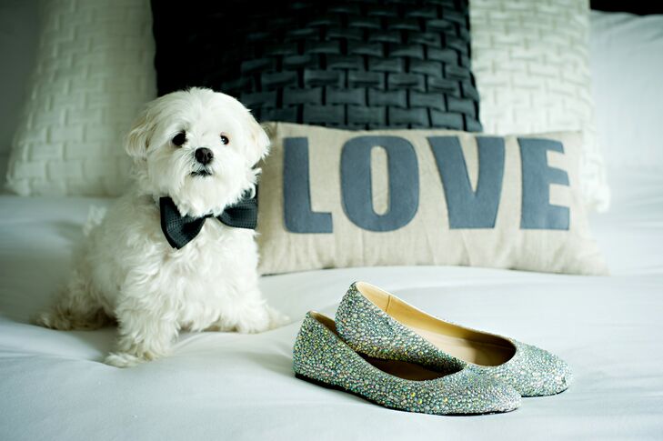 Metallic Silver Ballet Flats