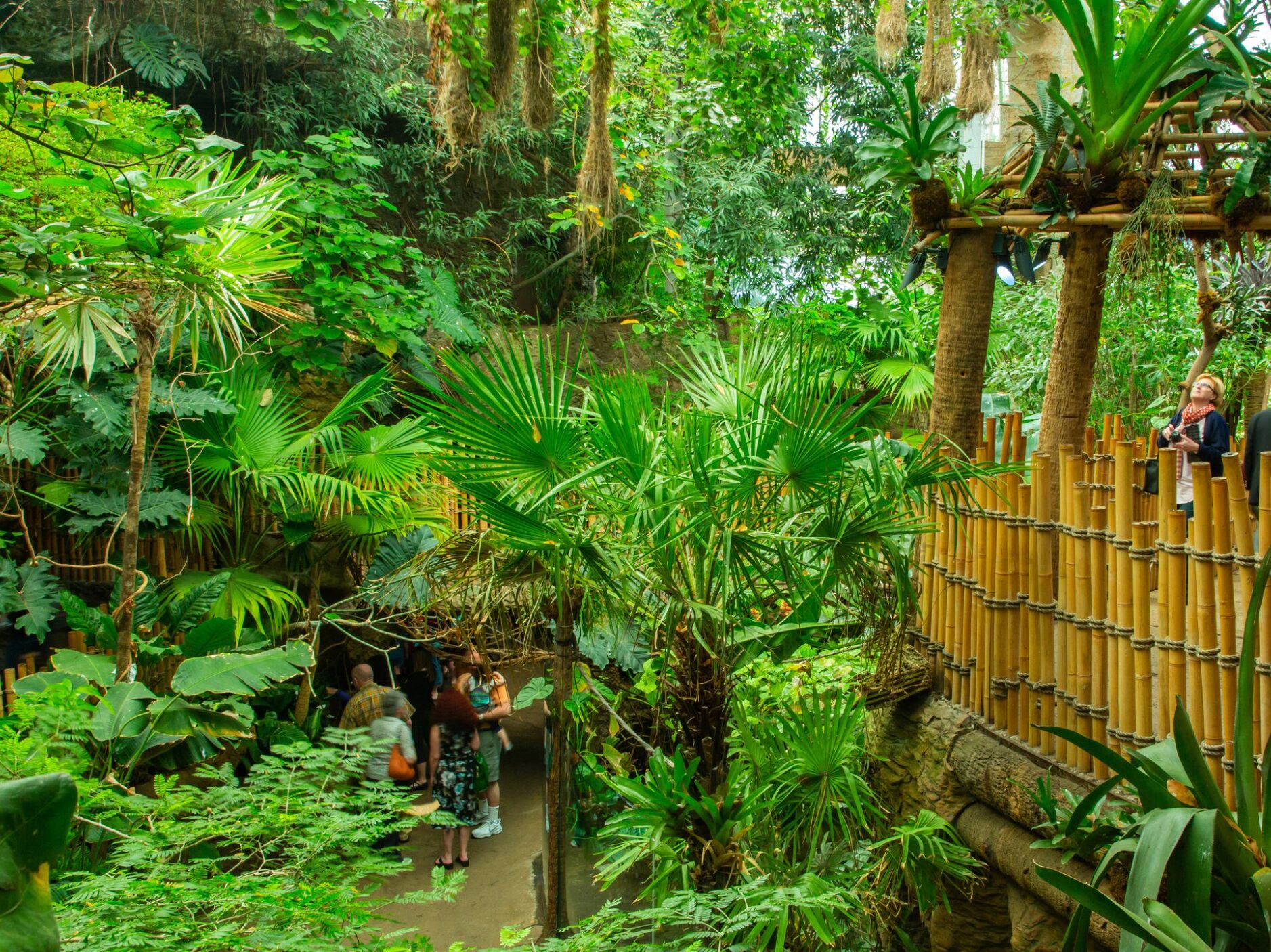 Picture of The Dallas World Aquarium