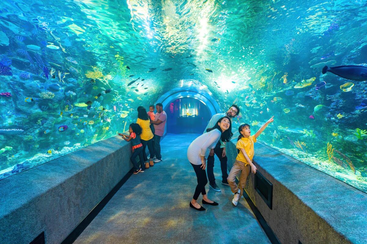 Picture of Newport Aquarium