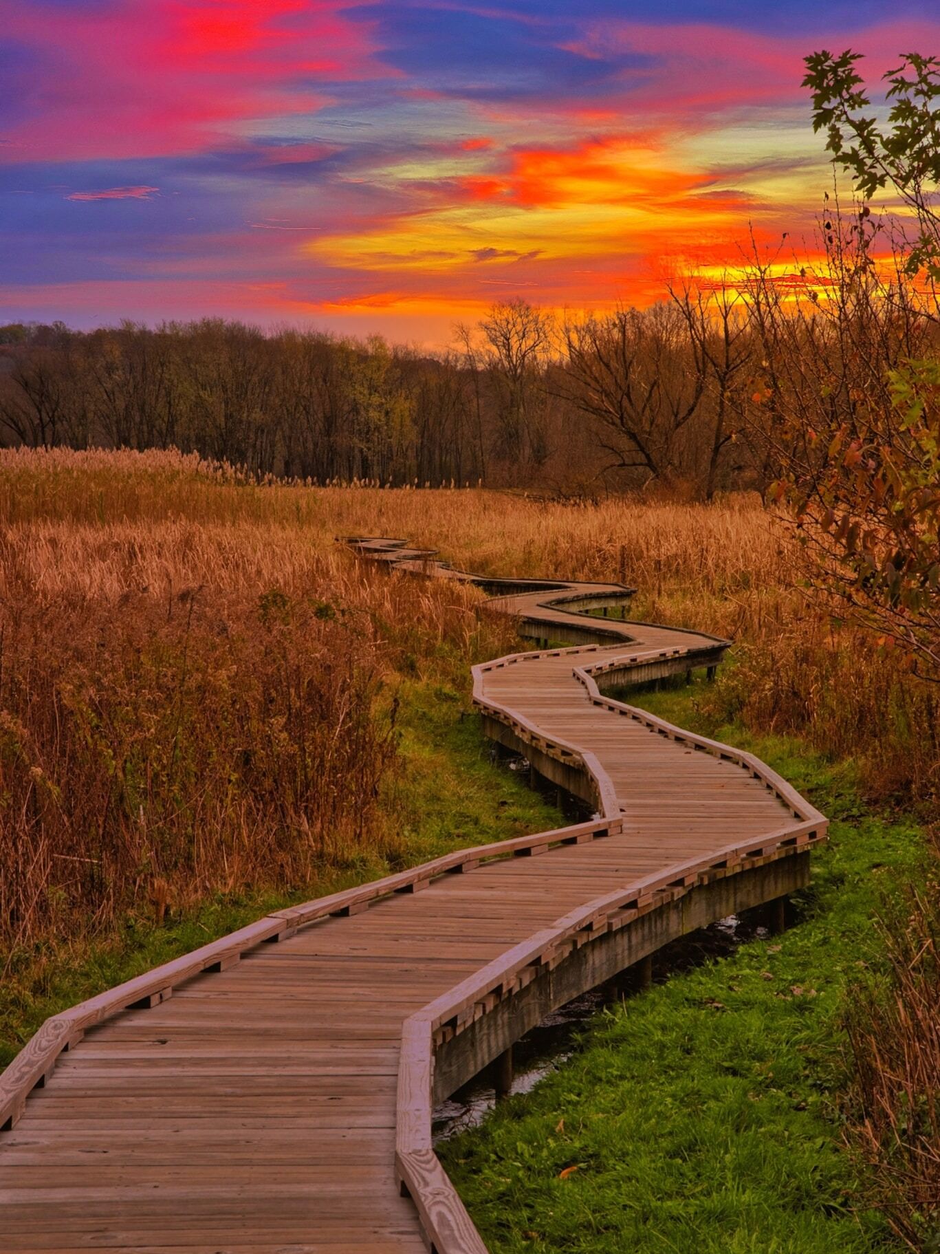 Picture of Stairway To Heaven Trail