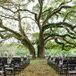Moss-Covered Oversize Oak Ceremony Altar