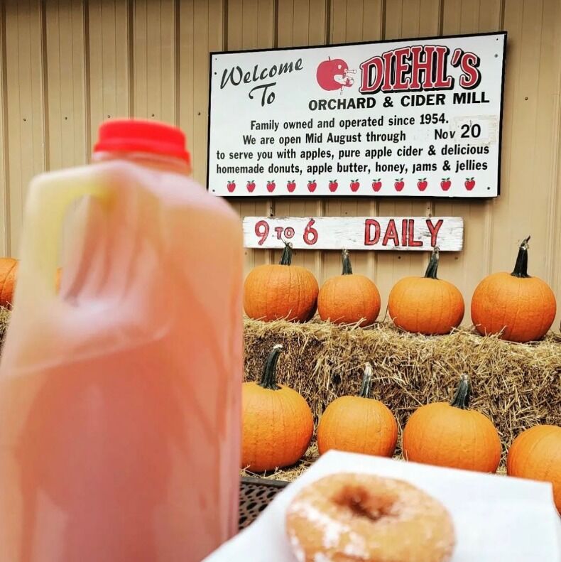 Picture of Diehl's Orchard & Cider Mill