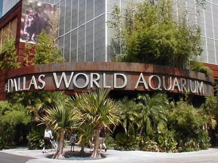Picture of The Dallas World Aquarium