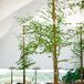 “When I looked at photographs of other weddings in the Hudson Valley, I repeatedly found myself drawn to the work of Linda Baldwin. She creates beautiful arrangements that are elegant and natural,” Hannah says. For the reception, she infused the expansive tent with woodland whimsy by adorning the tent poles with tree saplings.