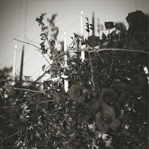 Gallery Photo 1