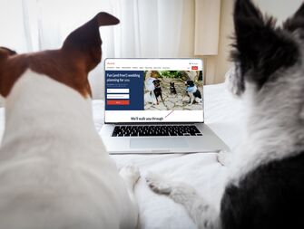 Dogs Wedding Planning on TheKnot.com