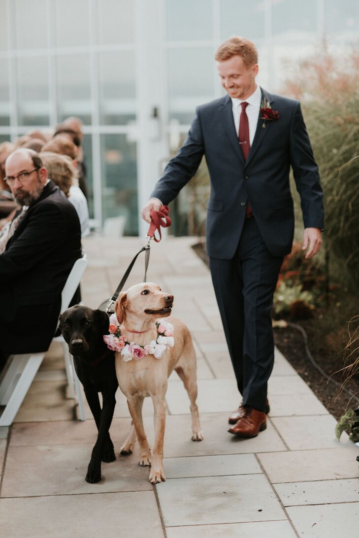 Floral Dog Collar