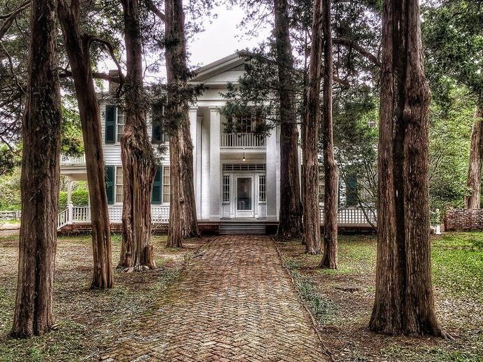 Picture of Rowan Oak