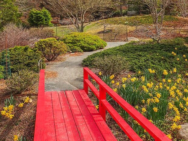 Picture of Mytoi Japanese Garden