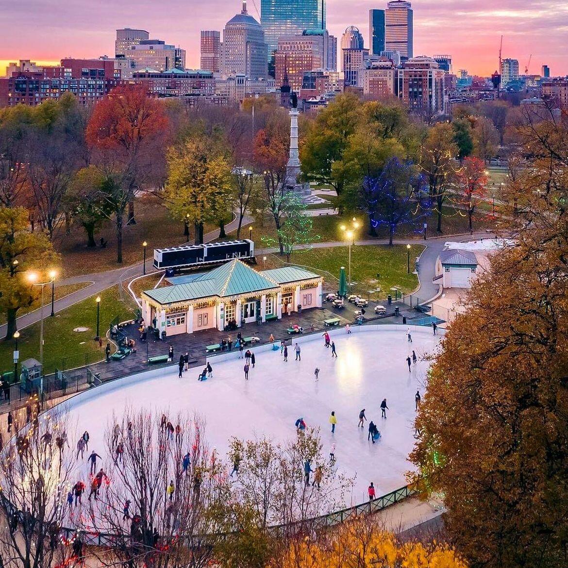 Picture of Frog Pond - Ice Skating & Cafe