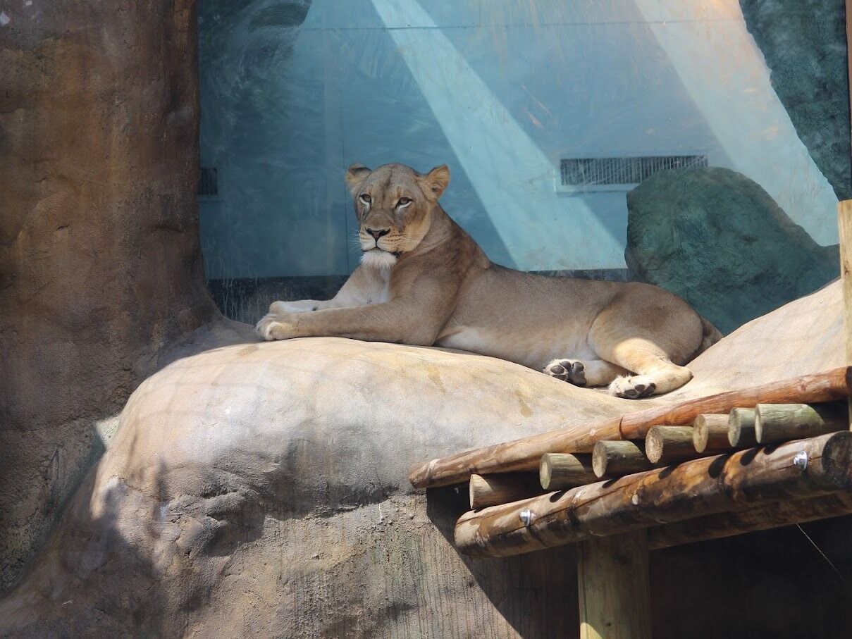 Picture of Erie Zoo