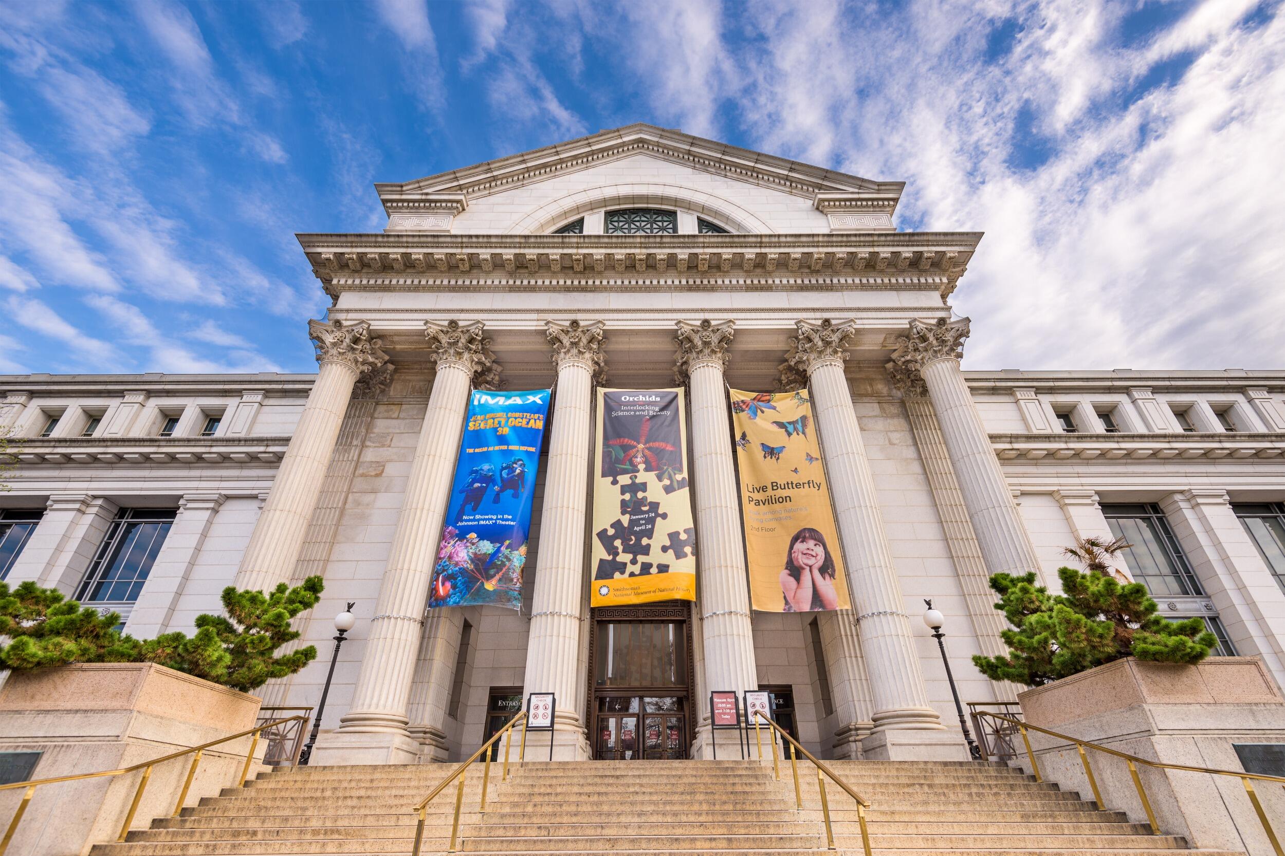 Picture of Washington, DC Museums
