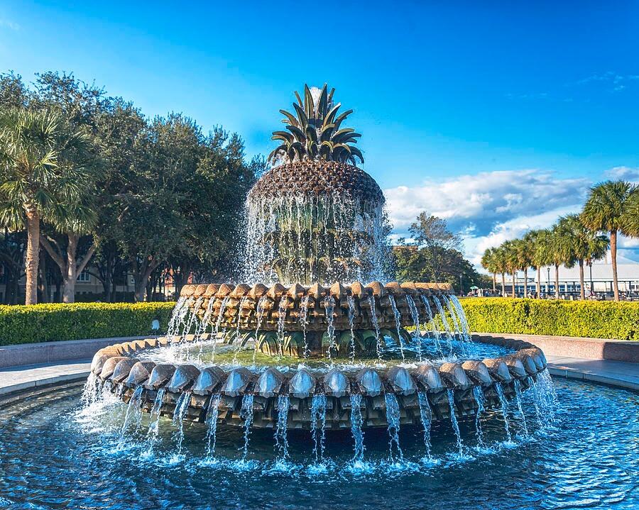 Picture of Pineapple Fountain