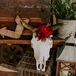 Cow Skull Floral Arrangement