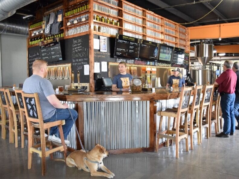 Picture of Metazoa Brewing Company