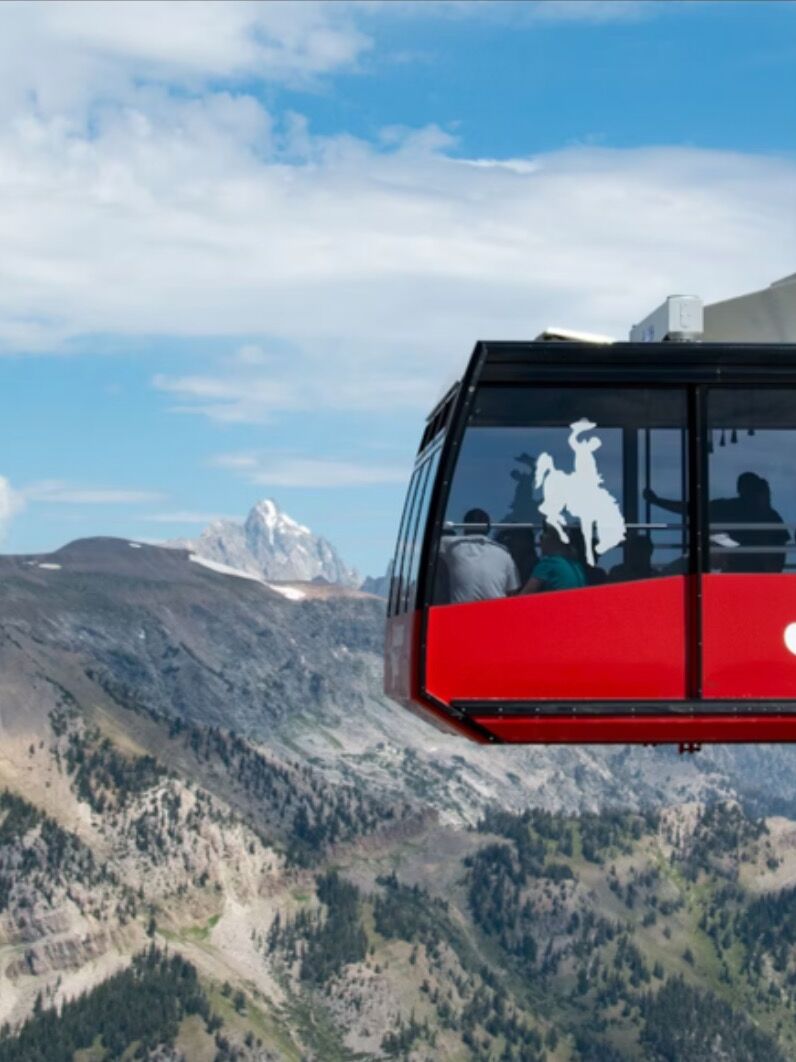 Picture of Jackson Hole Aerial Tram and Gondola Rides
