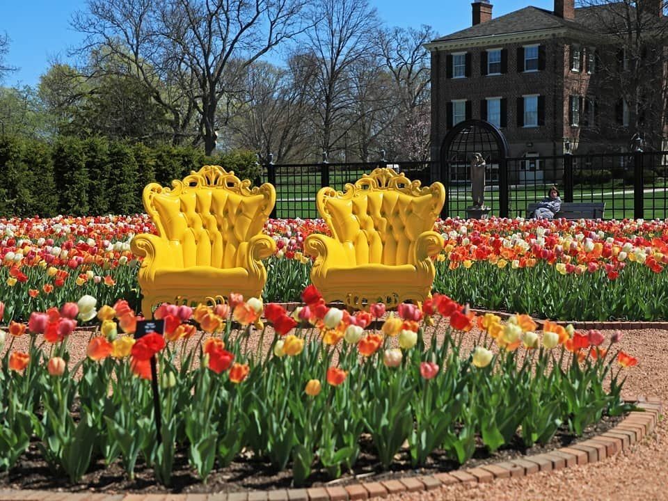 Picture of Cantigny Park