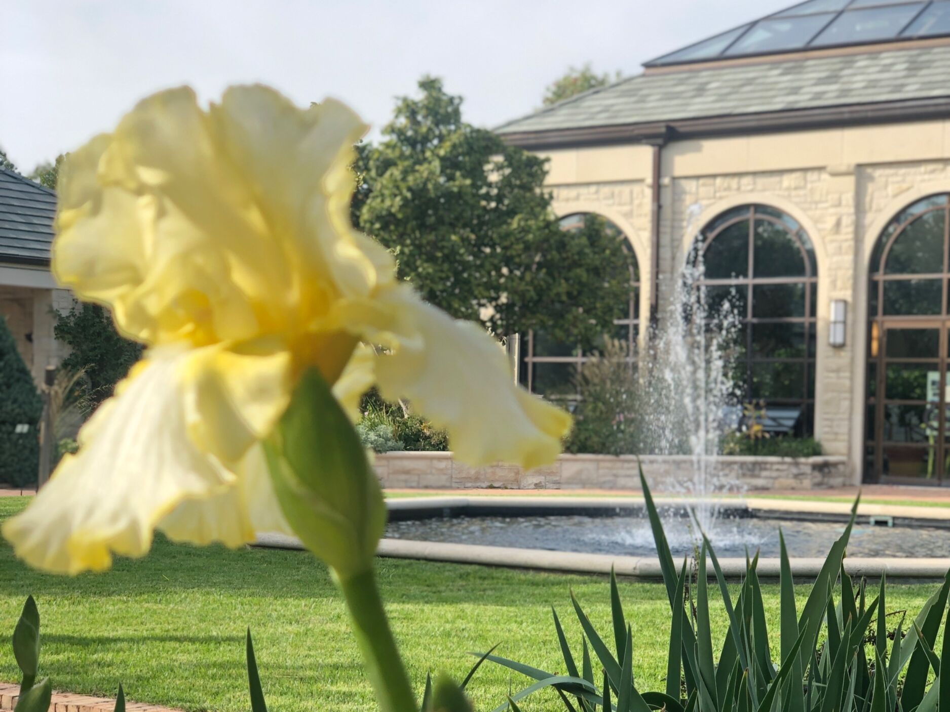 Picture of The Ewing and Muriel Kauffman Memorial Garden