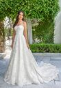 Jasmine Couture BONNIE A-Line Wedding Dress - thumbnail - 1
