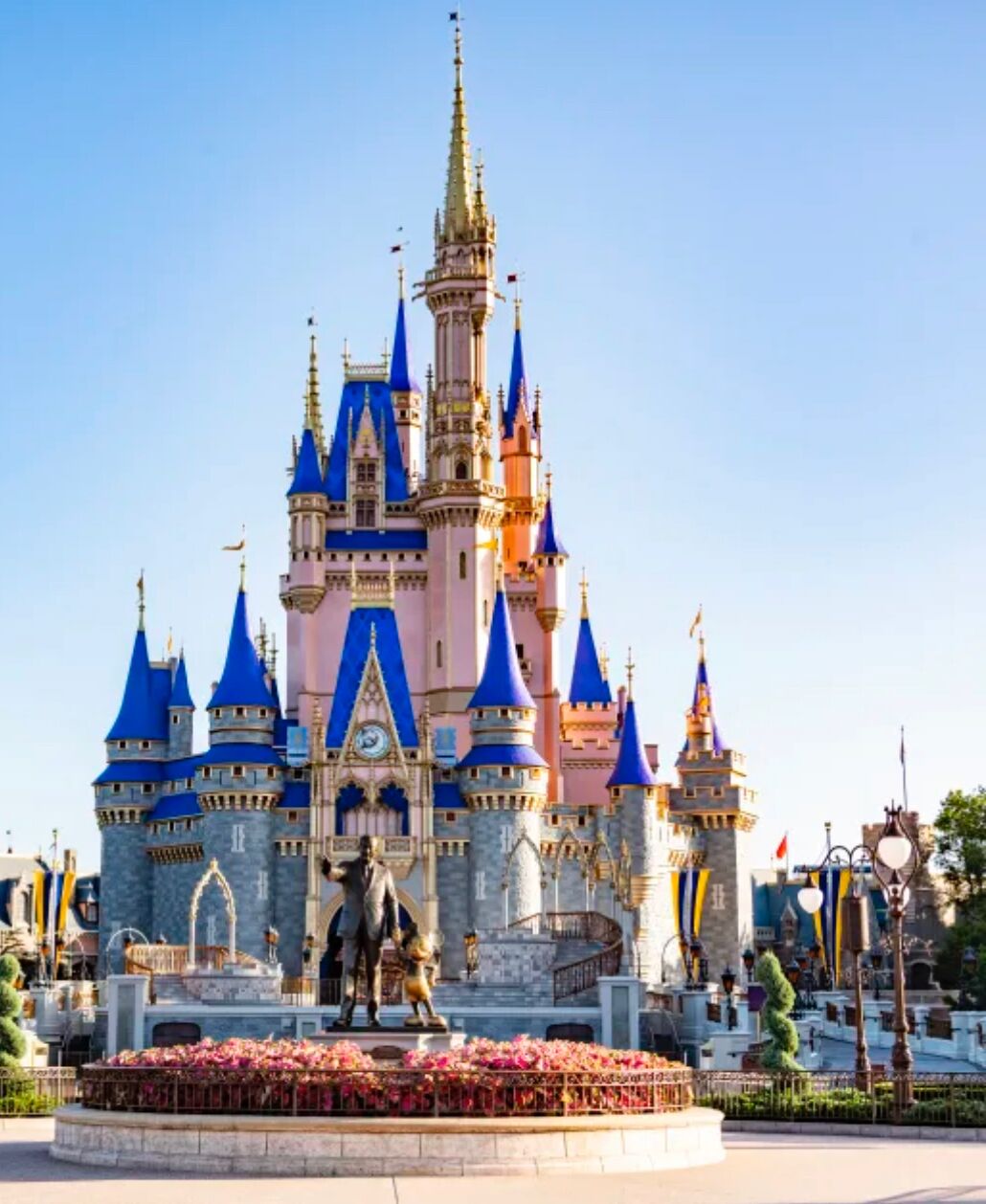 Picture of Walt Disney World
