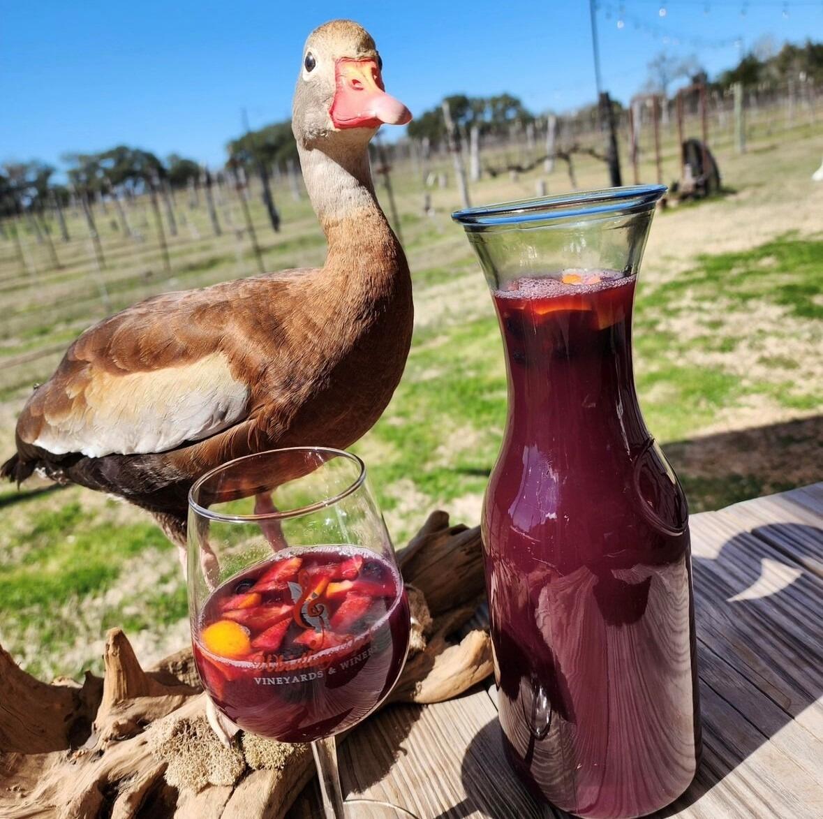Picture of Whistling Duck Vineyards & Winery