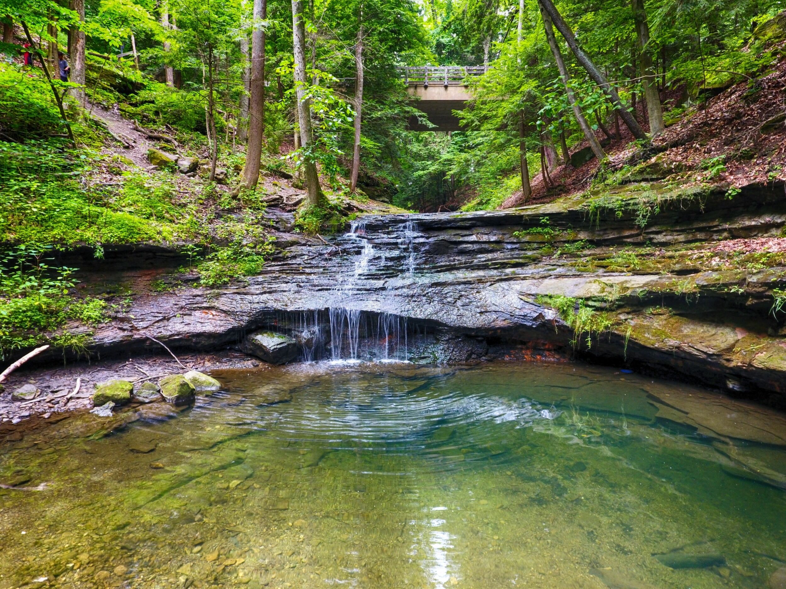 Picture of Mill Creek Metro Parks