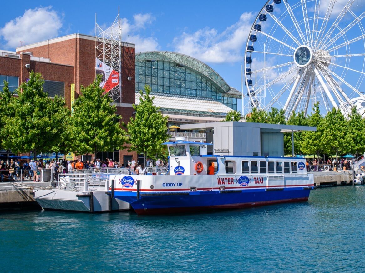 Picture of Shoreline Sightseeing