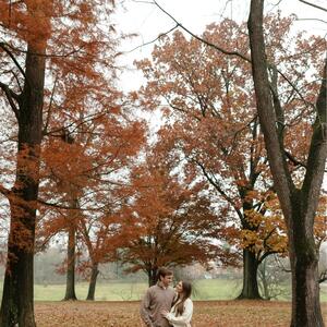 Gallery Photo 9