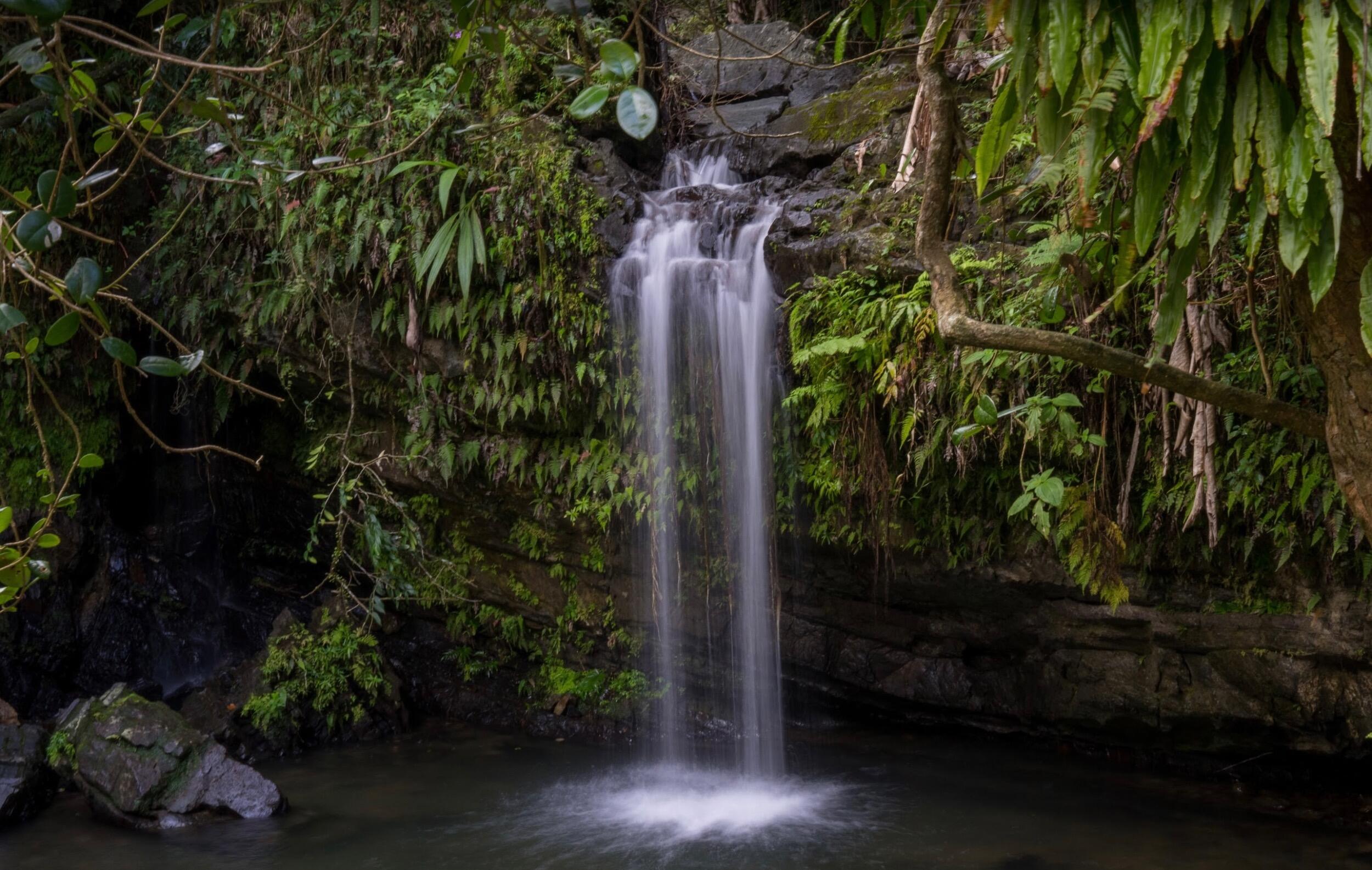 Picture of El Yunque National Forest