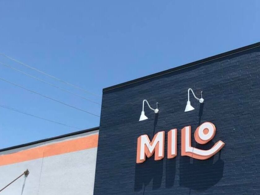 Picture of Milo