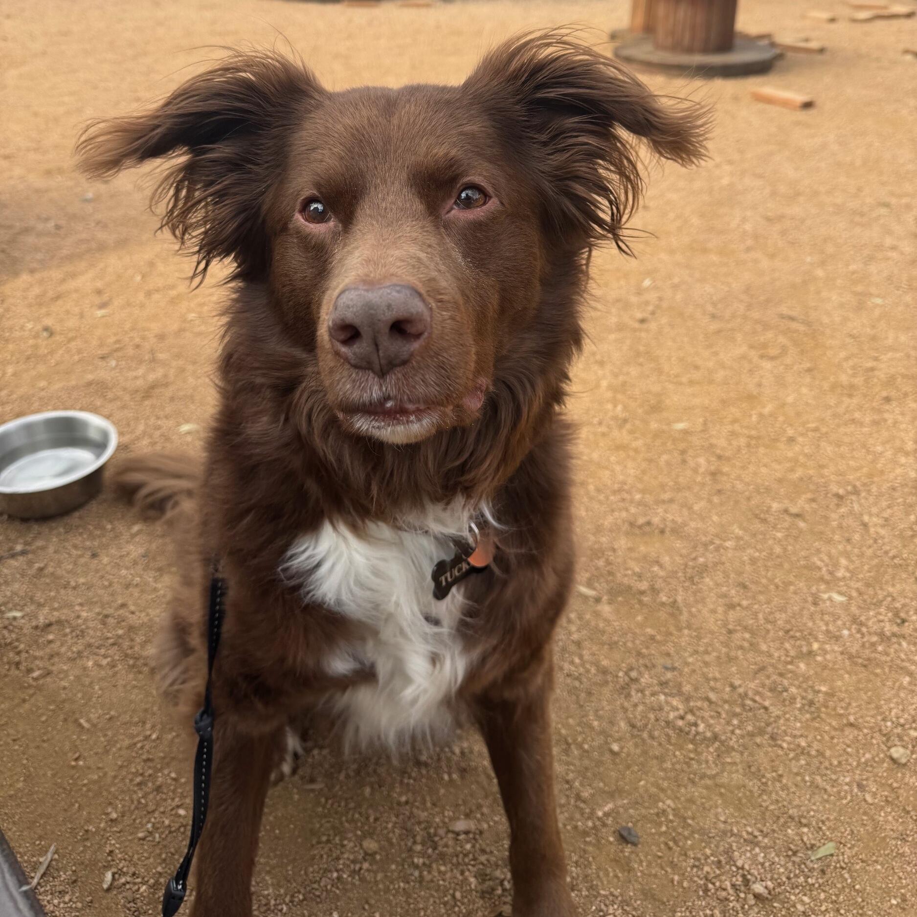 Tucker