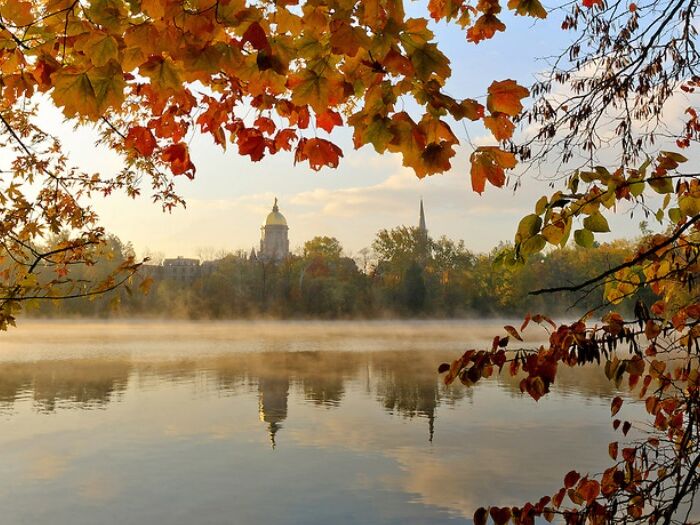 Picture of The Lakes
