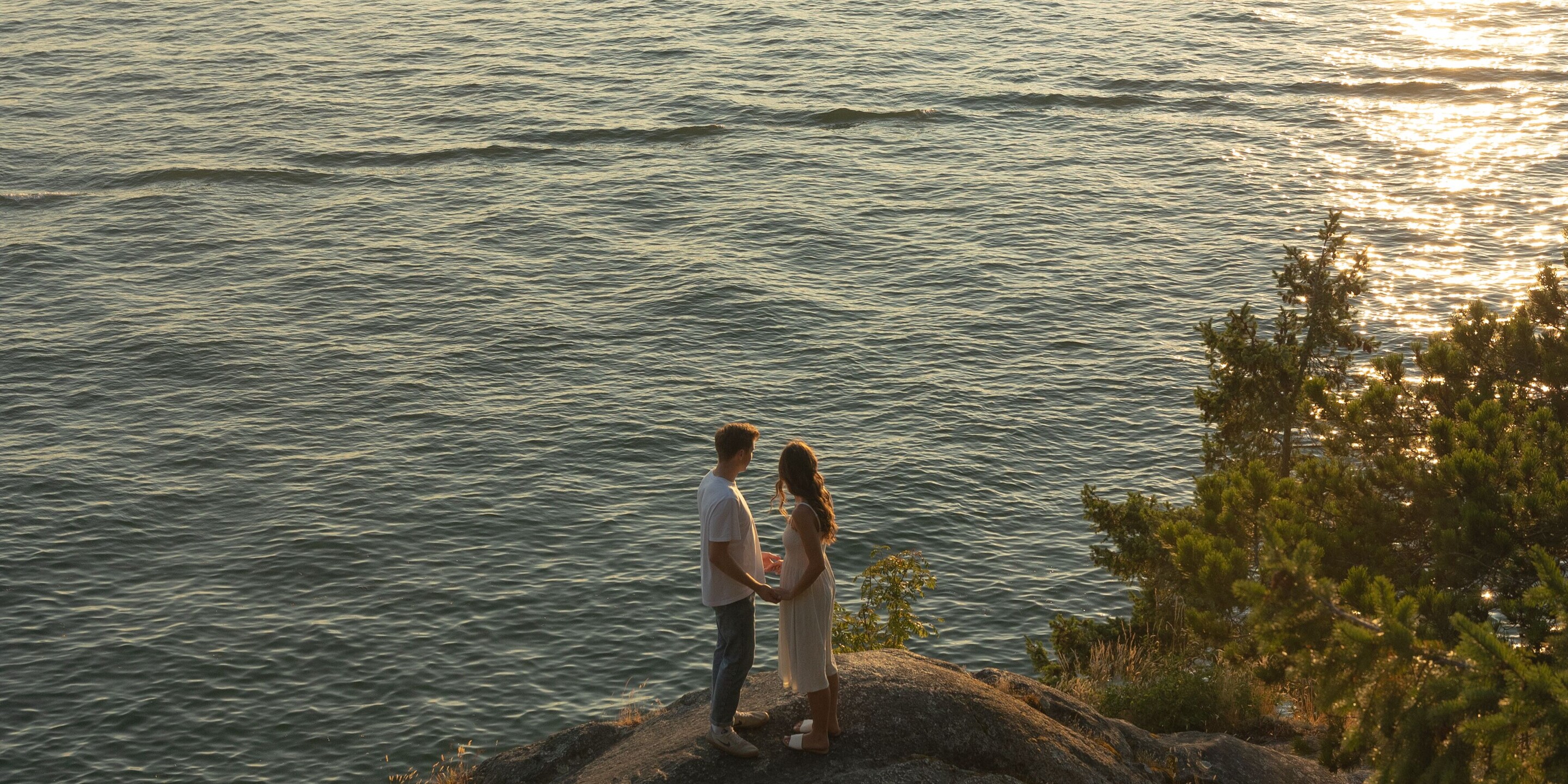 Josiah Driedger & Abby Gamache Home Page Banner