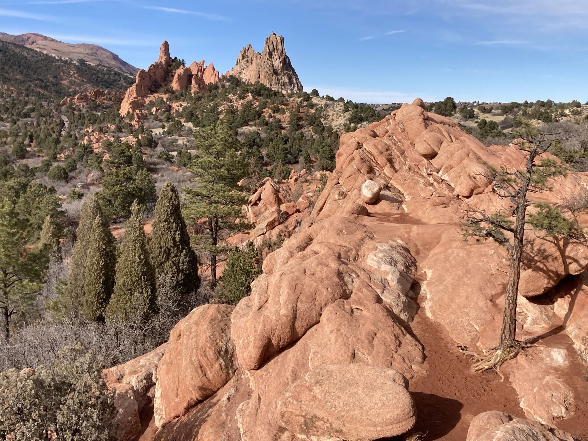 Picture of Garden of the Gods