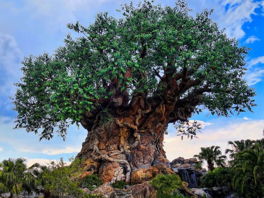 Picture of Disney's Animal Kingdom Theme Park