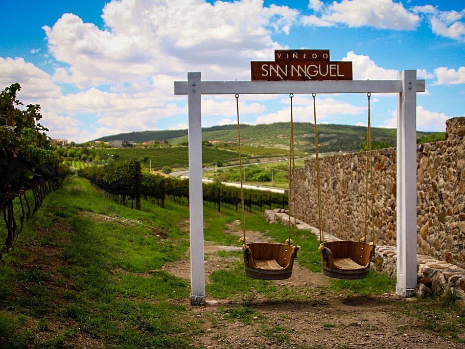 Picture of Bodega Viñedo San Miguel