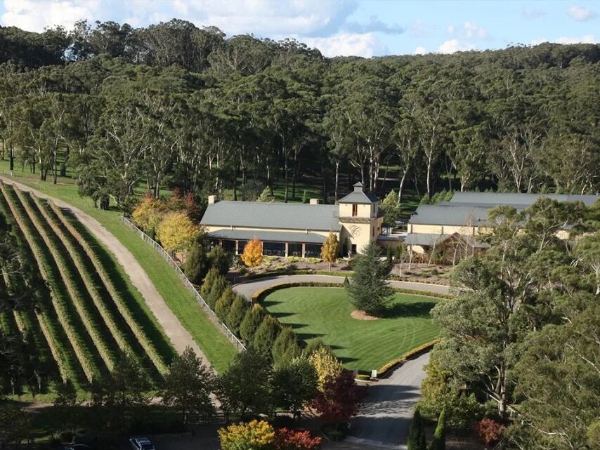 Picture of Centennial Vineyards